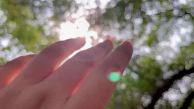 Close-up female hand in sunshine outdoors on green trees backdrop. Nature concept.	