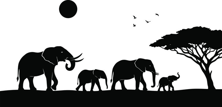 African Elephant Family Silhouette in Savannah with Acacia Tree and Birds