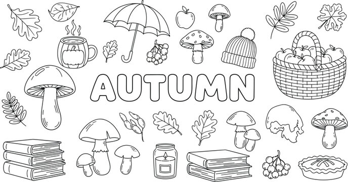 Autumn season illustration with various fall elements and objects in a whimsical line drawing style on white background