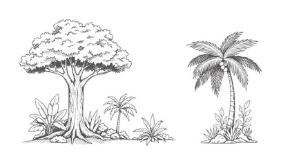 Hand drawn tropical trees and foliage in black and white palm nature © Ali