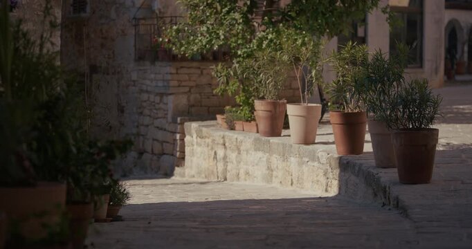 Potted plants are placed along a stone street beside old buildings in Istria.