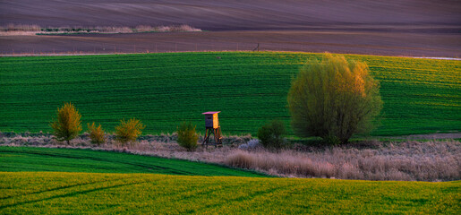 Obraz premium A hunting tower in the spring fields, crisscrossed by ecological field margins and clumps of trees