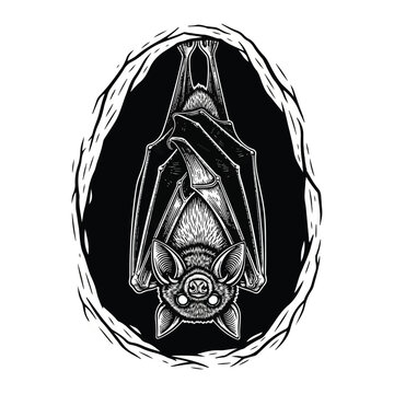 Detailed illustration of a hanging bat 1.