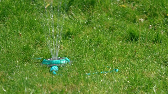 Ground level smart sprinkler spraying multiple streams over lush grass field, automatic watering system covering area then stopping operation. Summer backyard environment with natural greenery details