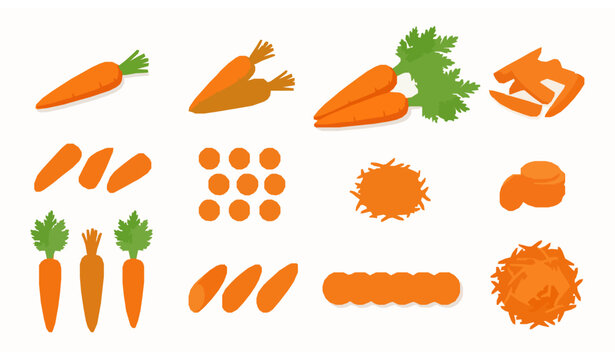 Set of fresh organic carrots and slices, flat vector vegetable illustration.