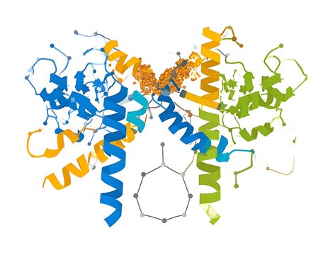 Protein structure molecular biology model.