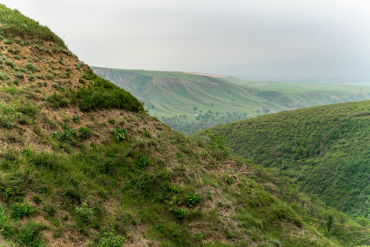 A wide view of grassy hillsides and natural ravines during the spring or summer season. The foreground shows textured soil and wild plants on a steep incline.
