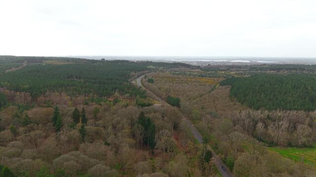 Forest road with car driving through dense woodland with patches of green and brown vegetation under overcast sky. Natural landscape with hills and distant horizon creating depth. Countryside