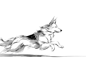 Obraz premium Energetic small dog runs with great speed, depicted in a black and white illustration showcasing expressive movement and flowing lines artfully.