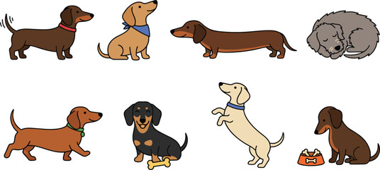 Obraz premium Cute Dachshund Dog Mascot Set with Various Poses Including Begging, Walking, and Eating for Pet Product Packaging, Animal Themed Stickers, and Nursery Room Wall Art Designs