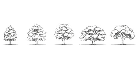 Set of five different hand drawn sketch style trees illustration ©  Designer