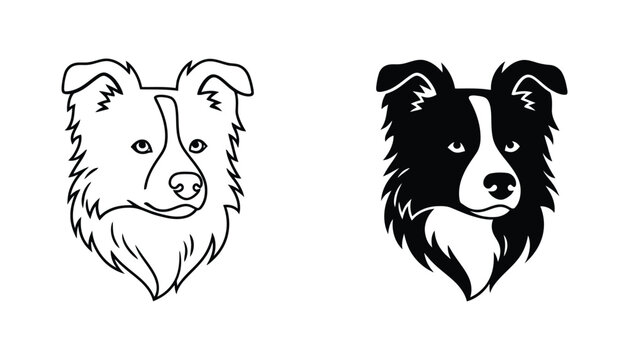 Detailed Border Collie dog head portrait featuring distinctive markings vector illustration