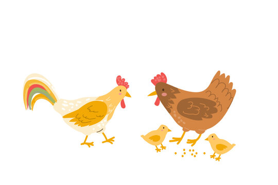 Cartoon hen with chiks and rooster. Cute farm birds set. Flat vector illustration isolated.