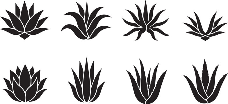 Succulent Agave Aloe Symbols Desert Plant Botanical Garden Nature Icon Set Silhouette Vector