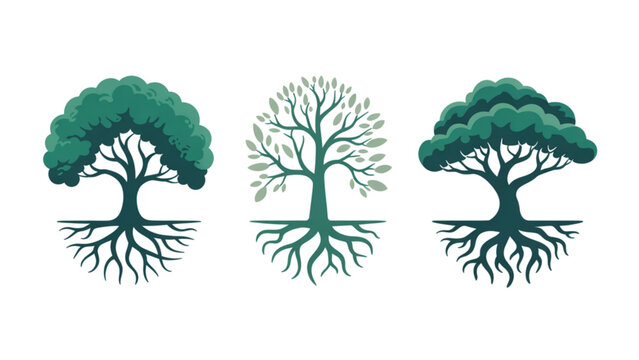 Two strong trees with deep roots growing side by side Vector