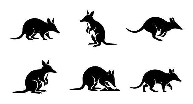vector kangaroo icons set on white background