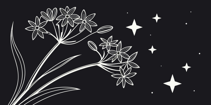 Elegant white floral outline with four pointed stars on a dark background celestial botanical vector illustration night garden concept botanical celestial mystical background illustration