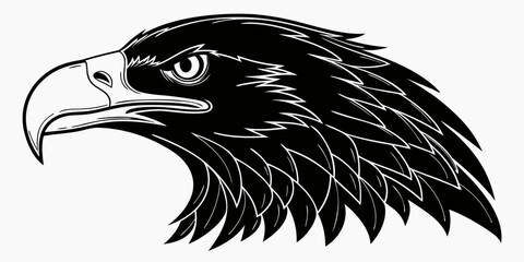 Black and white profile portrait of a majestic eagle head vector illustration with predator wildlife illustration monochrome isolated portrait sideview feathers majestic stylized © Meraj