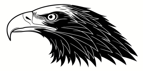Detailed profile portrait illustration of a bald eagle head in black and white with wildlife portrait illustration monochrome predator detailed majestic powerful isolated feathers © Meraj