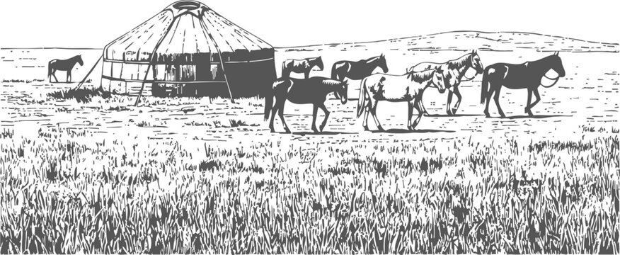 Traditional yurt with grazing horses in a vast grassland landscape, rural nomadic lifestyle scene