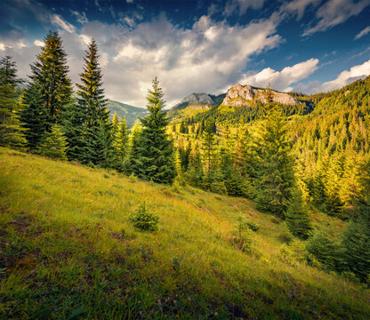 Beautiful autumn scenery. Astonishing morning view of Pietrele Albe mountain peak. Wonderful autumn landscape of Apuseni Natural Park, Cluj County, Romania. Beauty of nature concept background.