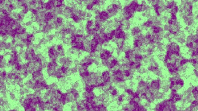 Seamless abstract loop of vibrant purple and green organic textures resembling moss, lichen, or biological cell structures.
