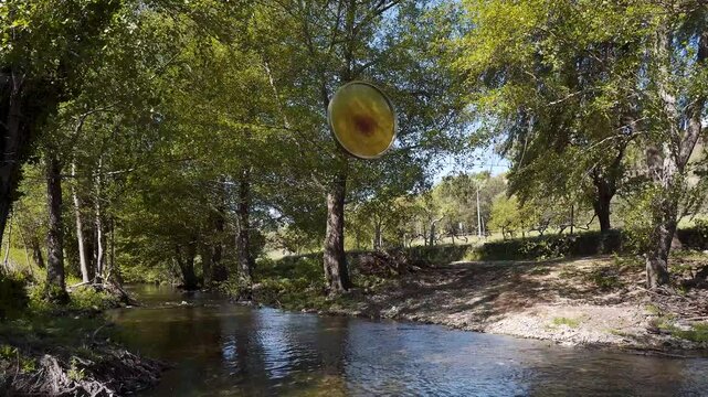 A motionless view of the Moongate highlights its symmetry against a soothing backdrop of river and trees. The wind stirs the branches just enough to suggest movement, while the water slips by. 4K