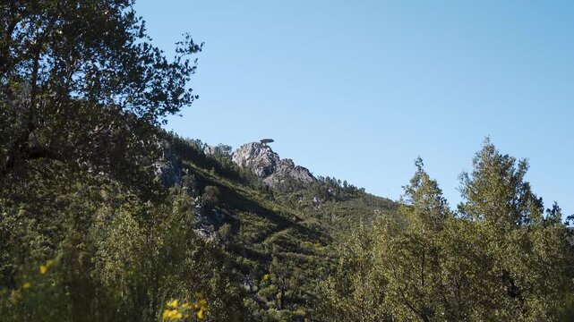 This static view from Miradouro do Zebro highlights the sweeping scenery of Oleiros, where the deep blue sky contrasts gently with the earthy tones of the terrain below. Trees shaking in the wind. 4K