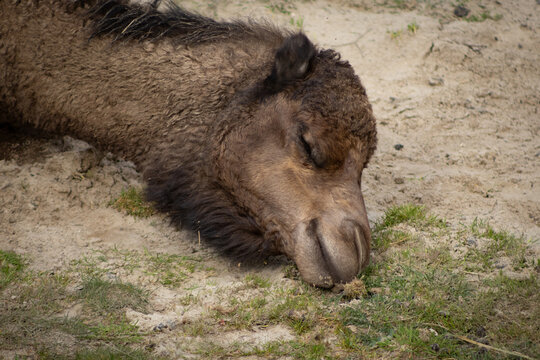 silence je dort