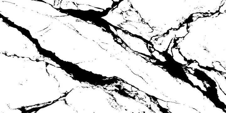 Marble Veins: An abstract pattern of a marble slab with bold black veins, a testament to the Earth's artistic expressions, with a surface that captures the timeless allure of stone.