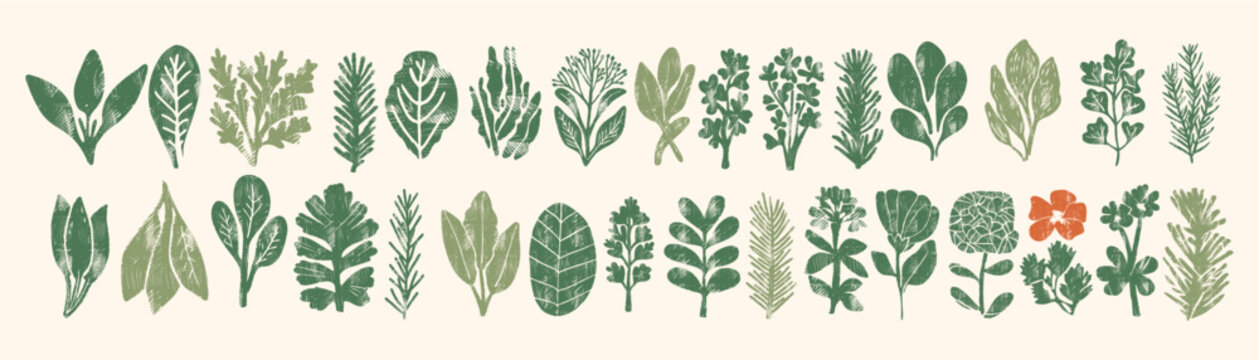 Woodcut textured green herb and leaf collection with grunge ink print effect &mdash; rustic botanical set for vintage eco packaging, kitchen menu or cottagecore design