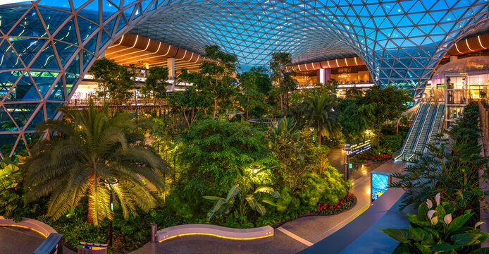Doha, Qatar - November 03, 2025: The Orchard indoor tropical garden at Hamad International Airport in Doha, Qatar, featuring lush greenery beneath a modern glass roof with walkways and escalators.