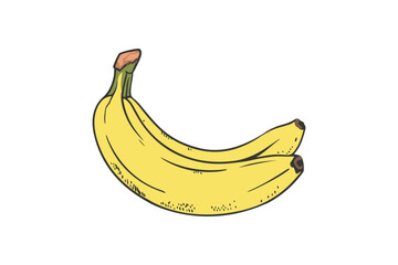Hand drawn illustration of bunch of fresh yellow bananas © UniQ Arts