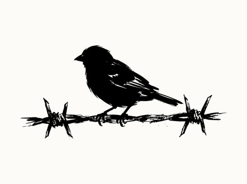 Bird on barbed wire, sparrow silhouette, minimalist brush line art, grunge metal element, isolated on white background