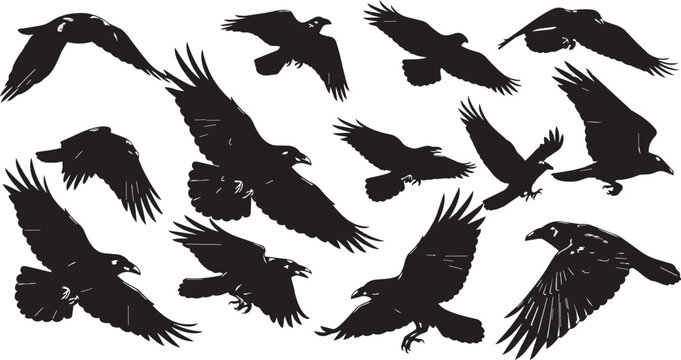 Black and white of a flock of flying crows in dynamic formation black crow silhouette bird flock