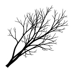 Fototapeta premium Minimalist Black and White Illustration of a Leafless Tree with Branches Spreading Out in Various Directions for Artistic Nature