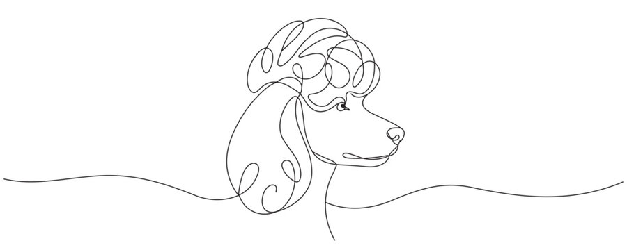 A drawing of a dog in a continuous single line art style. Vector drawing. Editable line