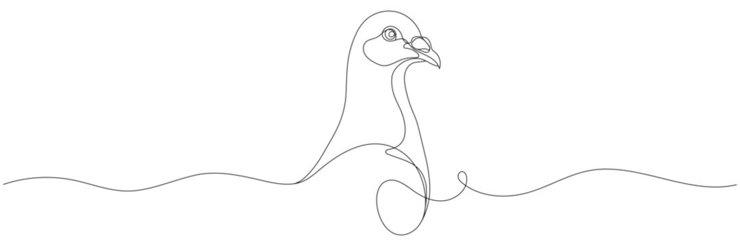 One-line drawing of a dove's face. One-line drawing, editable line.