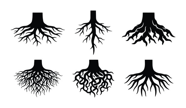 tree roots in various styles vector set on white background