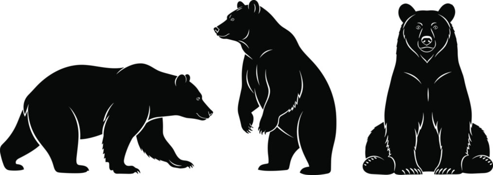 Professional Bear Silhouette Set Featuring Grizzly and Brown Bears in Walking, Standing, and Sitting Poses for Wildlife Conservation, Outdoor Adventure, and Nature Graphic DesignsProfessional Bear Sil