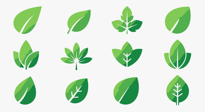 Collection of various green leaves.
