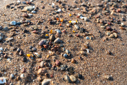 Amber stones on sea coast. Amber gems search on Baltic sea shore, fossilized tree resin crystals on sand