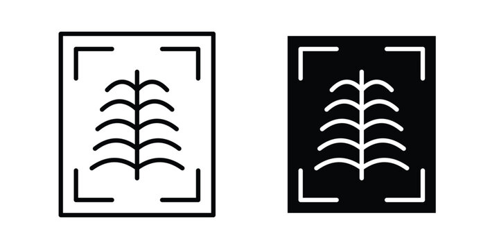 X ray icon editable stroke. Linear and flat icons