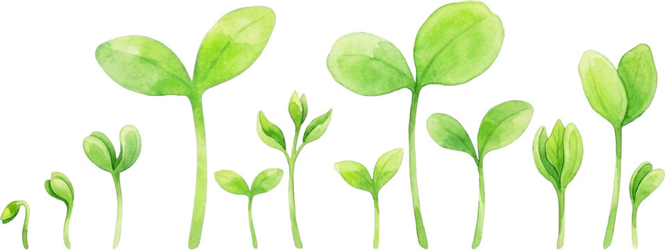 Watercolor illustration of fresh green plant sprouts and seedlings growing in a horizontal row, isolated botanical element