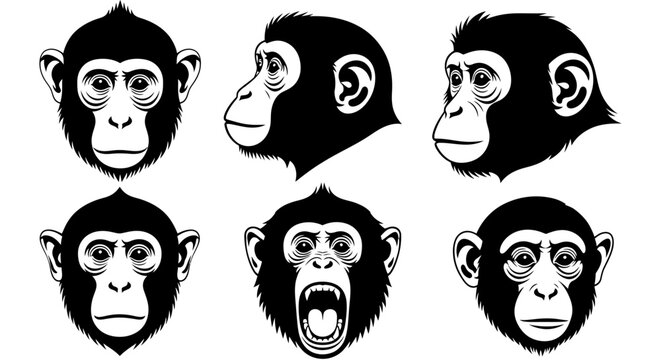 Set of Chimpanzee Head Illustrations in Various Expressions