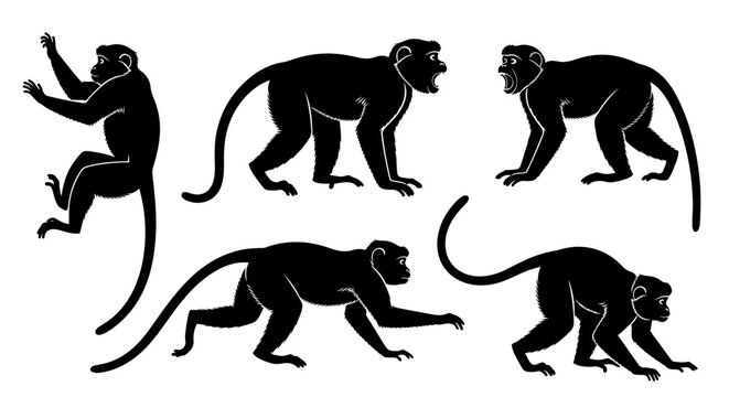 Set of Monkey Silhouettes in Various Poses