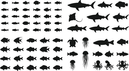Large marine animal silhouette collection with fish shark ray turtle jellyfish octopus and ocean wildlife vector set © MdHaberar