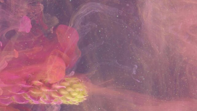 Detaching petals swirling in pink cloud with cinematic slow reveal of internal cone and drifting pigment, studio meditation piece with soft particles