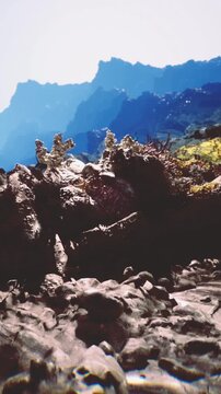 Vibrant coral reefs flourish among rocky formations, illuminated by sunlight creating a magical atmosphere. The tranquil waters reflect the awesomeness of nature&rsquo;s beauty, inviting exploration.