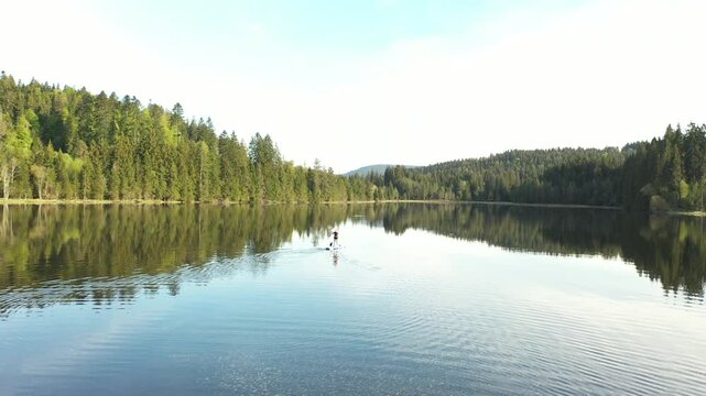 Drone aerial view approaching a woman paddleboarding on a calm forest lake with mirror-like reflections